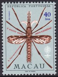 Macau 1962  Kampf gegen die Malaria