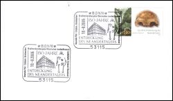 2006  Archäologie in Deutschland: Neandertaler