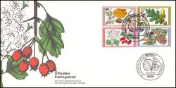 1979  Wohlfahrt: Blätter, Blüten und Früchte des Waldes