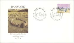 1980  Dänische Regionen