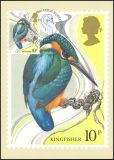 1980  100 Jahre Schutzgesetz für Wildvögel