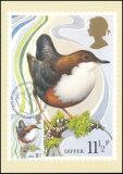 1980  100 Jahre Schutzgesetz für Wildvögel