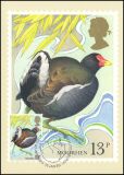 1980  100 Jahre Schutzgesetz für Wildvögel