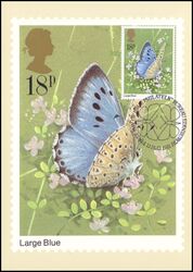 1981  Schmetterlinge