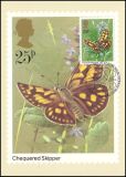 1981  Schmetterlinge
