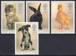 1990  Gesellschaft zur Bekämpfung von Tierquälerei: Jungtiere