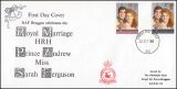 große Militärpost-FDC  Sammlung der Royal Air Force Brüggen