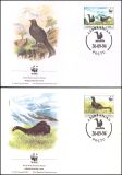 1994  Weltweiter Naturschutz WWF - Kaukasusbirkhuhn (171)
