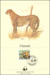 1984  Official Proof Edition WWF - Gepard (014)