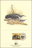 1985  Official Proof Edition WWF - Ameisenbär/Riesengürteltier (023)