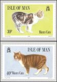 1989  Manxkatzen