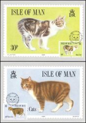 1989  Manxkatzen