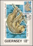 1989  Naturschutz: Tiere des tropischen Regenwaldes