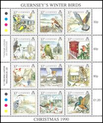 1990  Weihnachten: Überwinternde Vögel