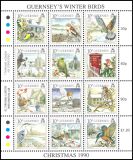 1990  Weihnachten: Überwinternde Vögel