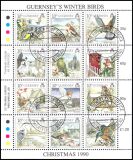 1990  Weihnachten: Überwinternde Vögel