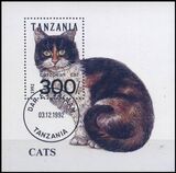 Tansania 1992  Europäische Katze
