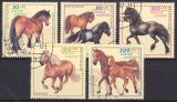 1997  Jugend: Pferderassen