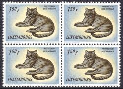 1961  Hauskatze