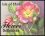 1999  Blumen