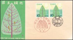 1965  Wiederaufforstung