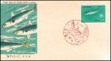 1966  Fische und Meerestiere