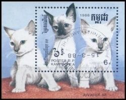 1988  Katzen