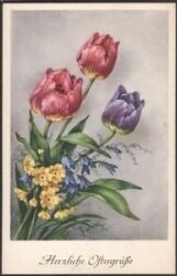 Herzliche Ostergrüße - Blumen