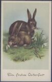 Ein frohes Osterfest - Hasen