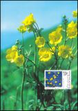 1996  142 - 100. Geburtstag von Ferdinand Gehr