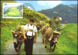 2005  245 - Liechtensteiner Weidealpen
