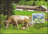 2005  245 - Liechtensteiner Weidealpen