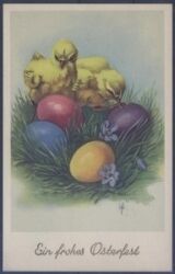 Ein frohes Osterfest - Osternest mit Kücken
