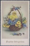 Herzliche Ostergrüße - Kücken im Blumenkorb