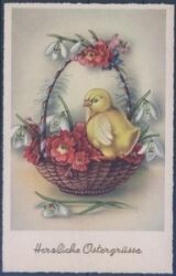 Herzliche Ostergrüße - Kücken im Blumenkorb