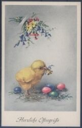 Herzliche Ostergrüße - Kücken mit Nest