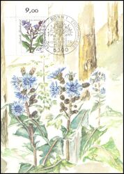1983  Maximumkarte - Wohlfahrt: Alpenblumen