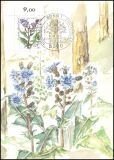 1983  Maximumkarte - Wohlfahrt: Alpenblumen