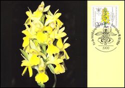1984  Maximumkarte - Wohlfahrt: Orchideen