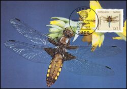 1991  Maximumkarte - Plattbauch Libelle