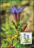 1991  Maximumkarten - Natur- und Umweltschutz