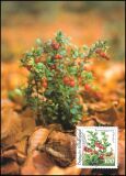 1991  Maximumkarten - Natur- und Umweltschutz