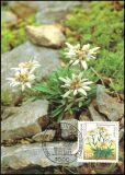 1991  Maximumkarten - Natur- und Umweltschutz