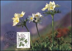 1983  Maximumkarten - Wohlfahrt: Alpenblumen