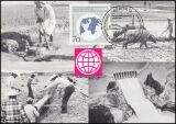 1988  Maximumkarte - Internationale Währungsfonds