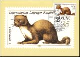 1982  Maximumkarte - Steinmarder