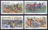 Venda 1980  Teeanbau