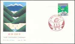 1981  100 Jahre Gewässerverbauung