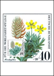 1980  Maximumkarten - Wohlfahrt. Ackerwildkräuter