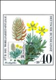 1980  Maximumkarten - Wohlfahrt. Ackerwildkräuter